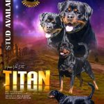 titan16